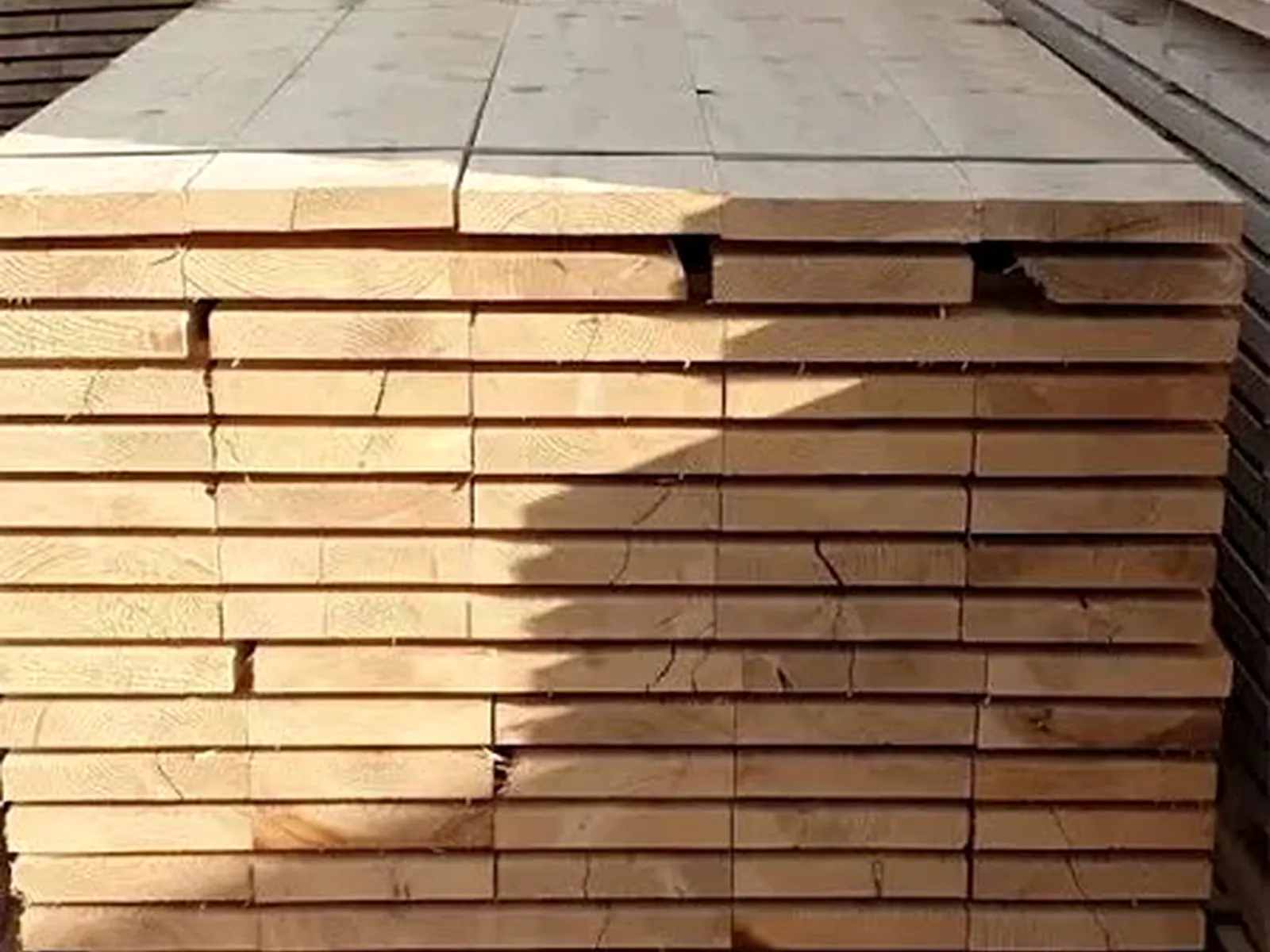 Gravel board 150 x 22mm x 3.6m